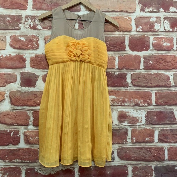 Anthropologie Ark & Co Dress Women's Yellow Tan Sheer Pleated Sleeveless Zip Up - Picture 6 of 8
